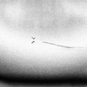 Image of Barrow-Being Without 12"