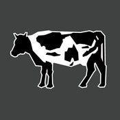 Image of cow