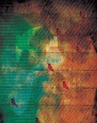 Image of Broken Wing.