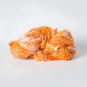 Image of Ziggy 2144