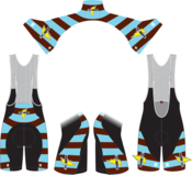 Image of PREORDER 2012 Pro Issue Bibshort Men's