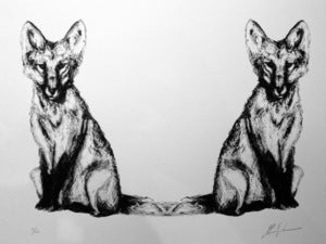 Image of VULPES VULPES