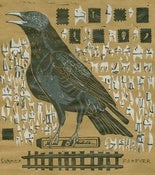 Image of SUMMER FOREVER - Zine