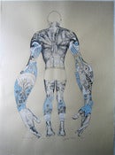 Image of Ocean Swimmer - Limited edition three colour screen print - part of The Ocean Series