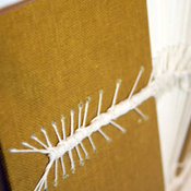 Sewing decorative and expose spine Advance