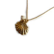 Image of COQUILLAGE COLLIER