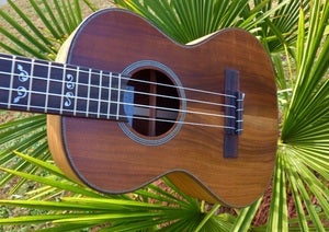 Image of Kala Acacia Tenor with case