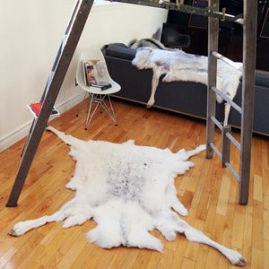 Image of Large Full Reindeer Hide RF-002