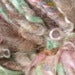View image 2