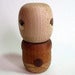 Image of Robot Shaker-008