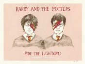 Image of Harry and the Potters