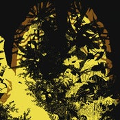Image of Nervous Kid CD
