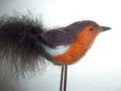 Image of Robin Kit