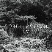 Image of Loma Prieta - I.V. 12"
