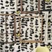 Image of Custhom - Mustard Columbia Road Wallpaper