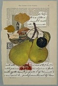 Image of Pears