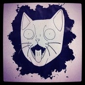 Image of Cat.