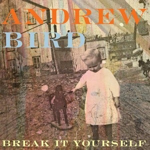 Image of Andrew Bird "Break It Yourself"