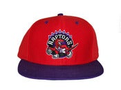 Image of Retro Toronto Raptors Snapback Hat