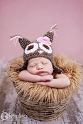 Image of Itty Bitty Owl
