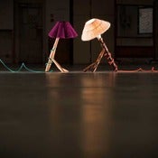 Image of Furniture Magpies - Lovely Legs Lights