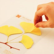 Image of  Appree Gingko Leaf Post-it