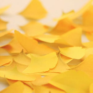 Image of  Appree Gingko Leaf Post-it