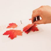 Image of Appree Maple Leaf Post-it