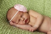 Image of Powder Pink Ranunculus Flower Headband or Clip 