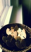 Image of Camay Studs *on sale*
