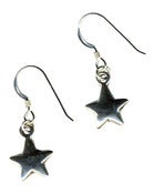 Image of Silver Starlight Charm Earrings