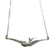 Image of swallow