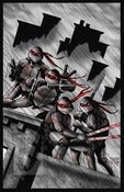 Image of Teenage Mutant Ninja Turtles Cover