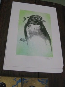 Image of Wagtail Print