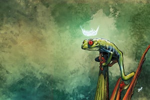 Image of The Frog King
