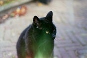Image of ghost