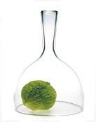 Image of Cloche