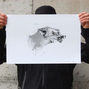 Grey Fox  print  $28