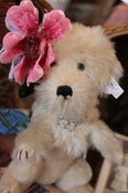 Image of Dressed Steiff White Poodle