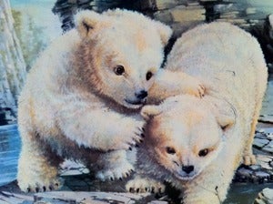 Image of VINTAGE CUTE POLAR BEAR TIN