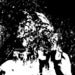 Image of Enzuigiri 7"