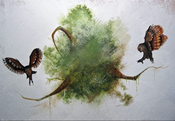 Image of Scott Belcastro-3