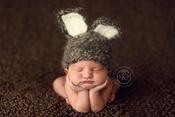 Image of Peter rabbit 