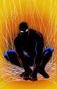 Image of SPIDER MAN