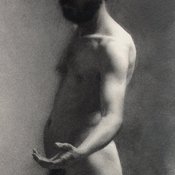 Image of The Question
