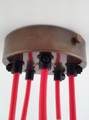 Image of ceiling rose | multiple outlet | brass