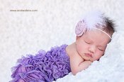 Image of Rose Feathered Headband in Lilac