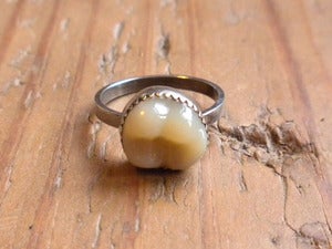 Image of TOOTH ring