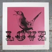 Image of METALLIC PINK LOVEBIRD