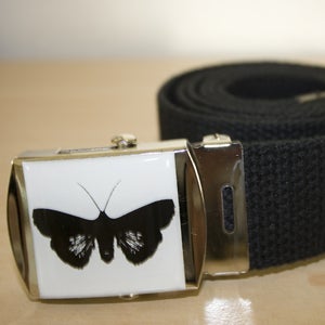 Image of Moth Belt